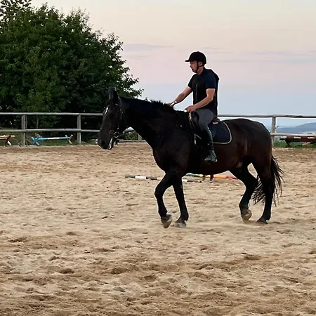 住宿加早餐酒店 Justynka 3*