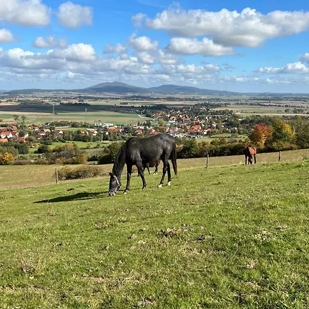 לינה וארוחת בוקר Justynka