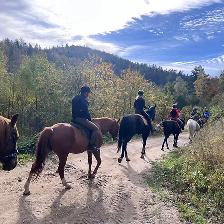 Justynka לינה וארוחת בוקר Bystrzyca Górna