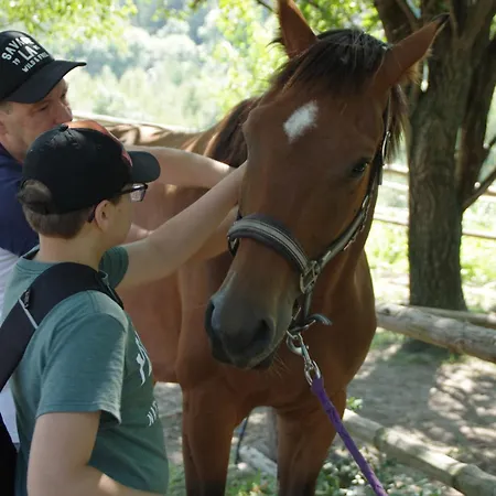 住宿加早餐酒店 Justynka
