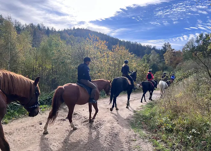Justynka B&B Bystrzyca Górna
